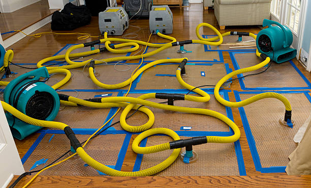 Professional Crawl Space Water Removal technician working in Johnsonville, NY